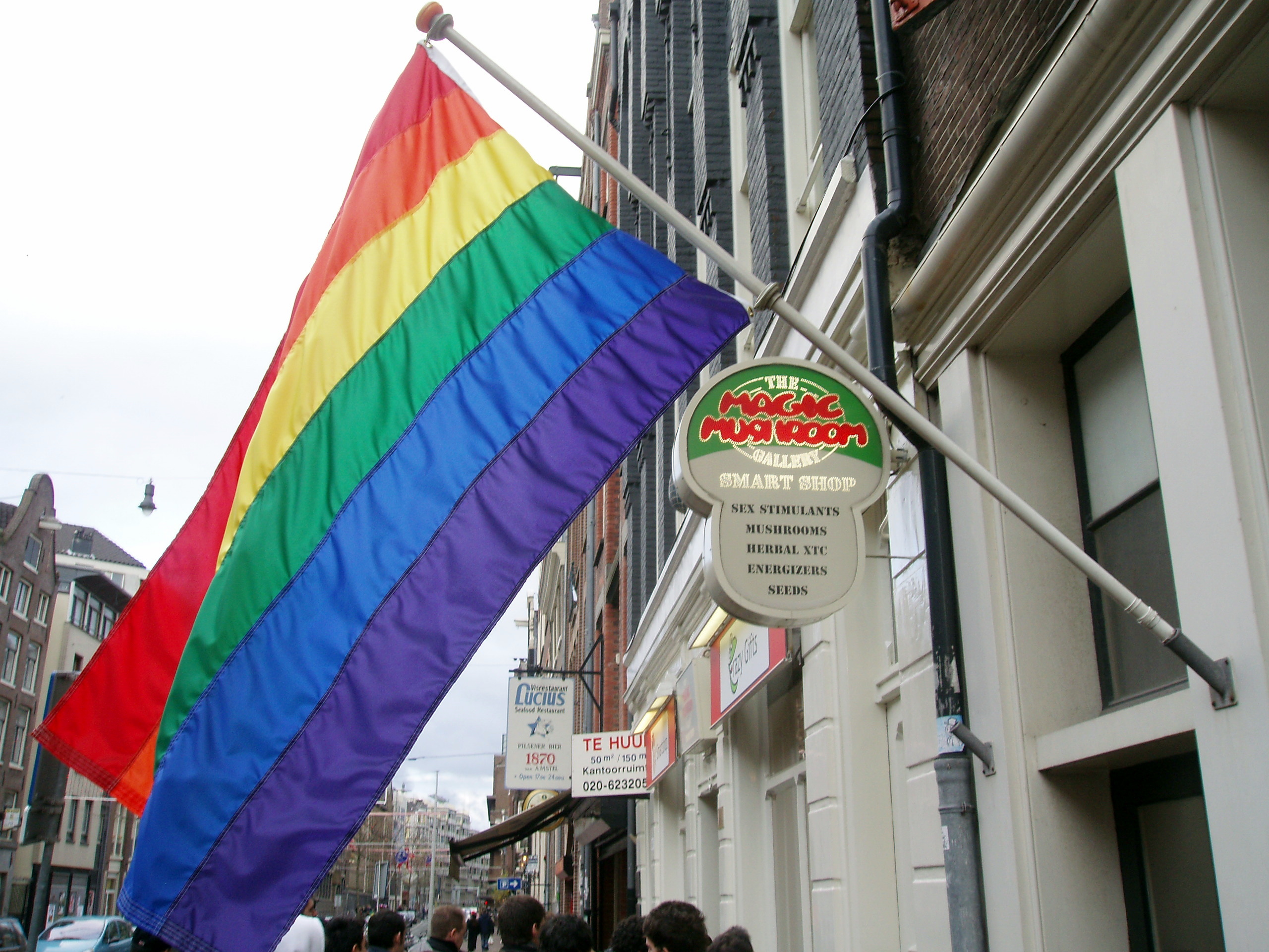 pc0501271 Bandera gay señala libreria temática junto a comercio de setas mágicas